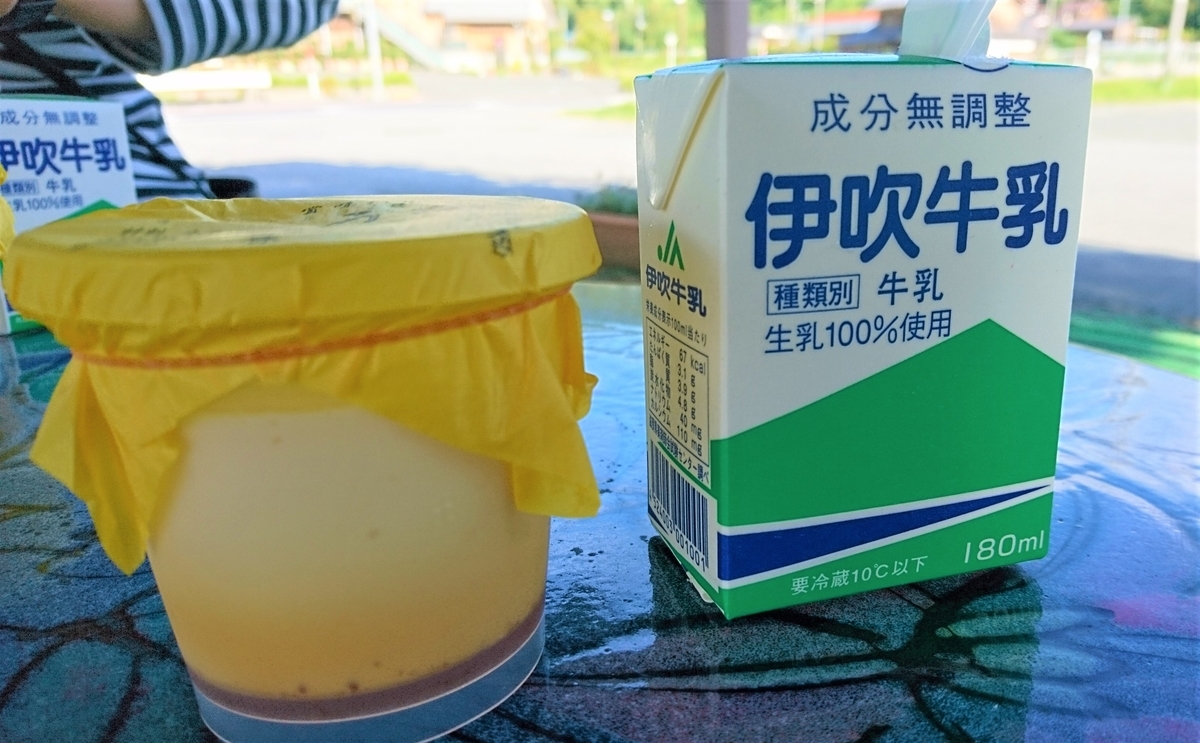 f:id:inoppi0625:20200509234530j:plain