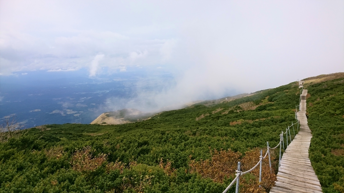 f:id:inoppi0625:20200510212343j:plain