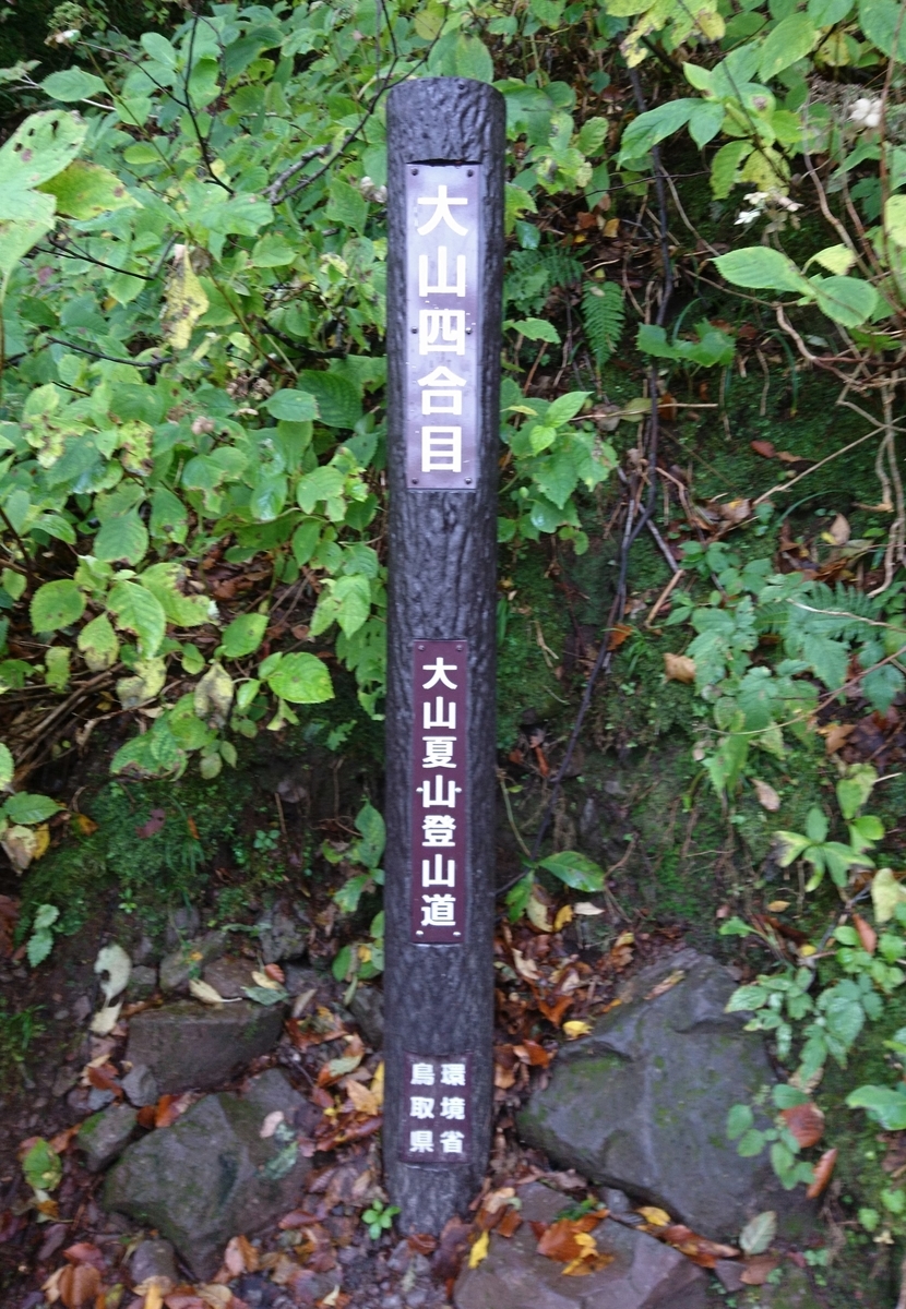 f:id:inoppi0625:20200510215854j:plain