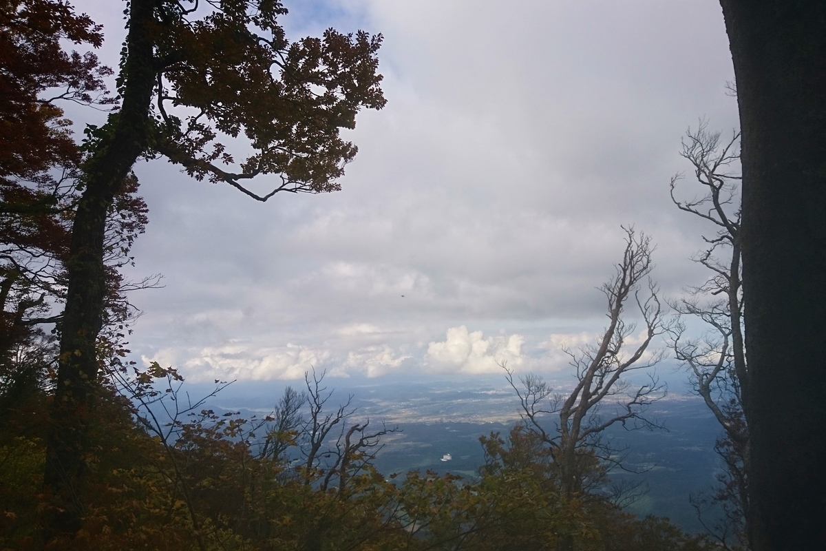 f:id:inoppi0625:20200510215858j:plain