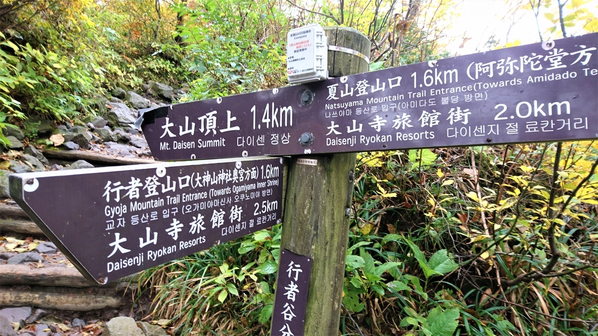 f:id:inoppi0625:20200510215906j:plain