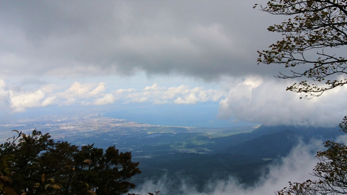 f:id:inoppi0625:20200510215911j:plain