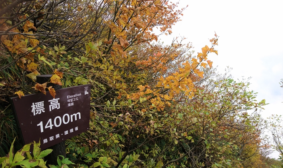 f:id:inoppi0625:20200510215934j:plain