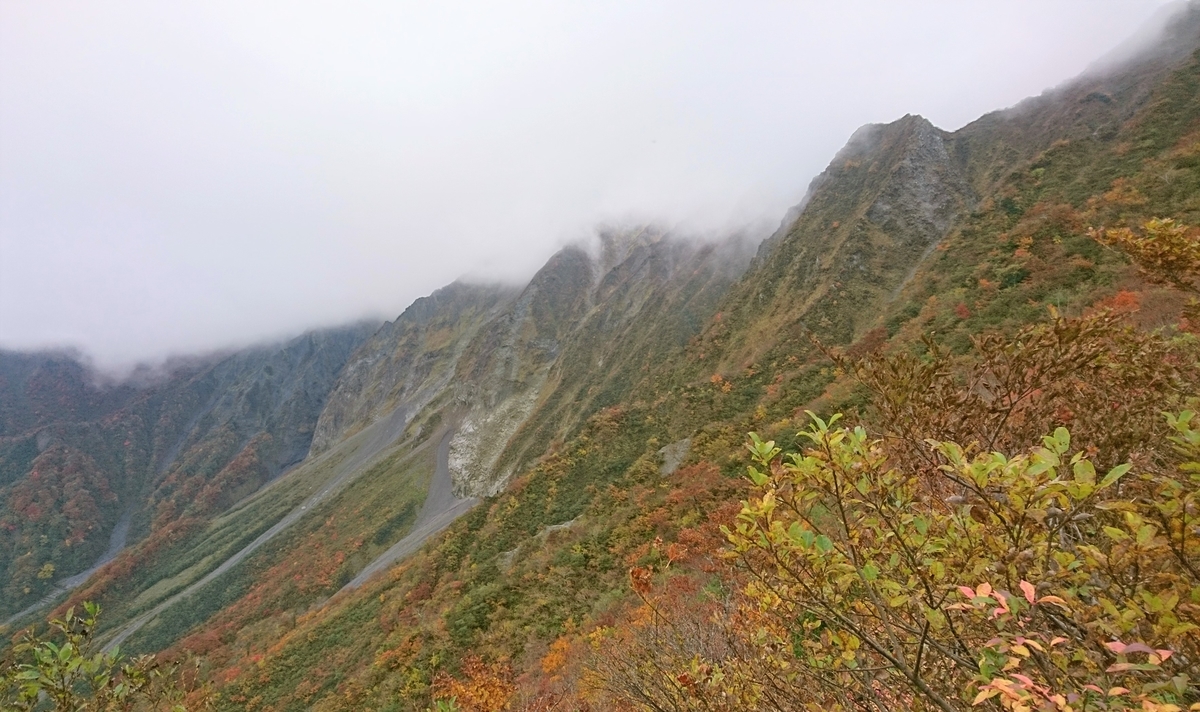 f:id:inoppi0625:20200510215950j:plain