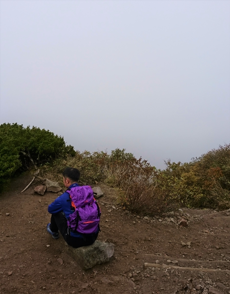 f:id:inoppi0625:20200510220035j:plain