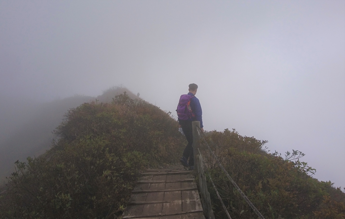 f:id:inoppi0625:20200510220039j:plain