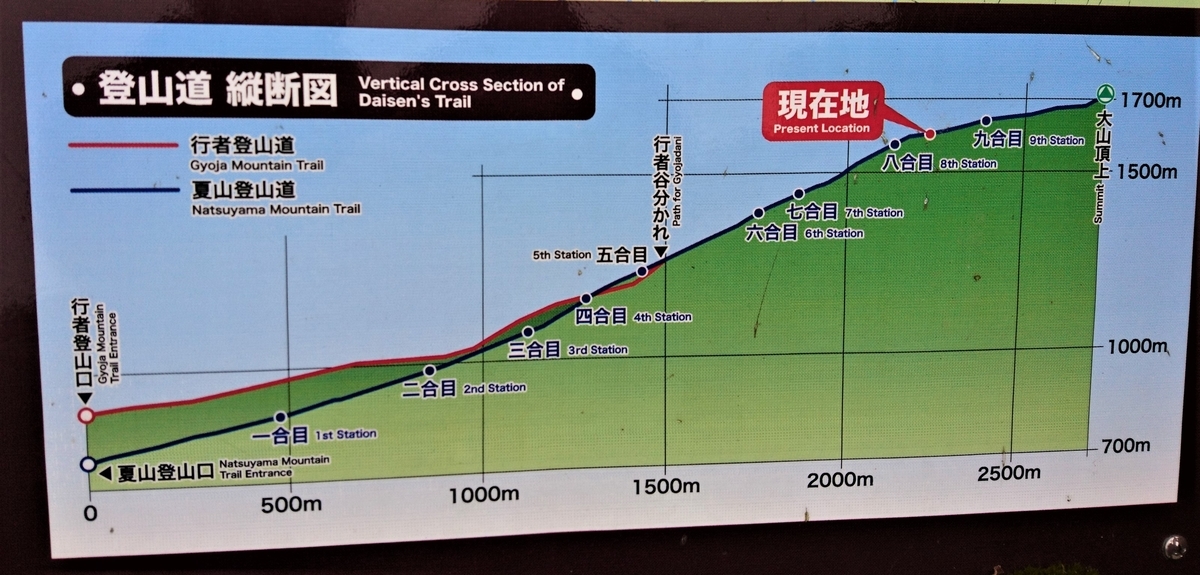 f:id:inoppi0625:20200510220609j:plain