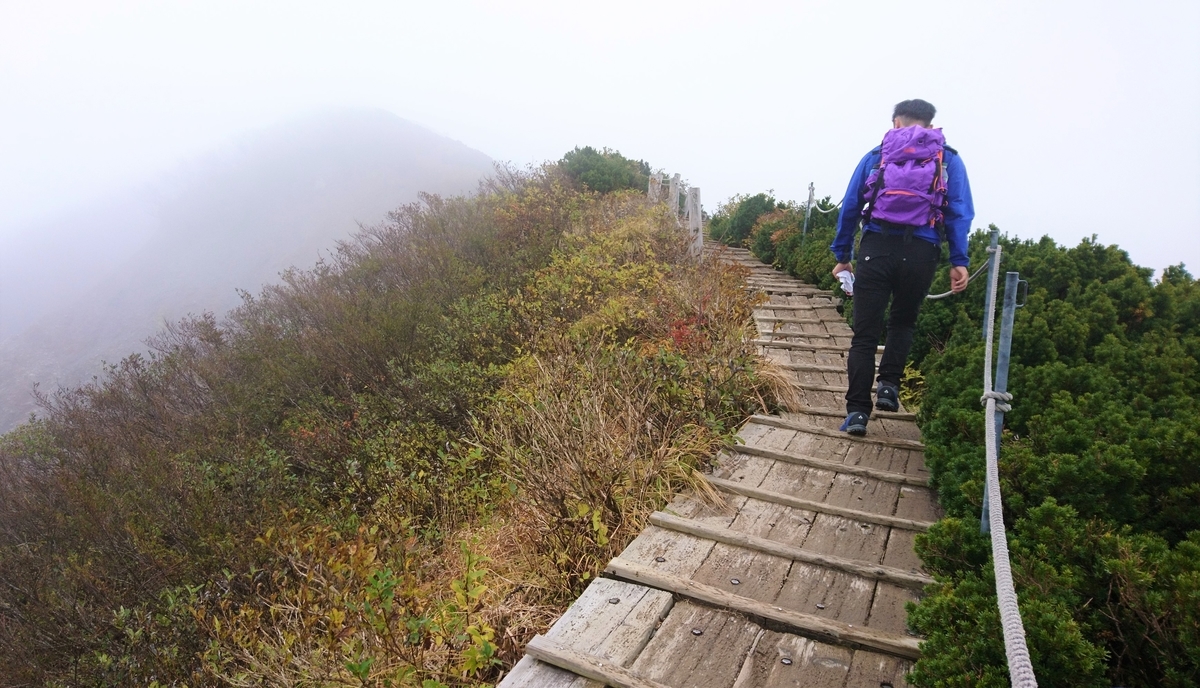 f:id:inoppi0625:20200510220632j:plain