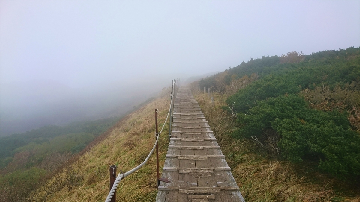 f:id:inoppi0625:20200510220641j:plain