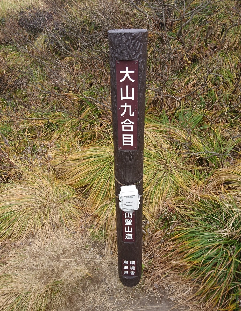 f:id:inoppi0625:20200510220653j:plain