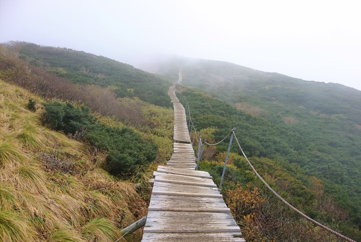 f:id:inoppi0625:20200510220659j:plain