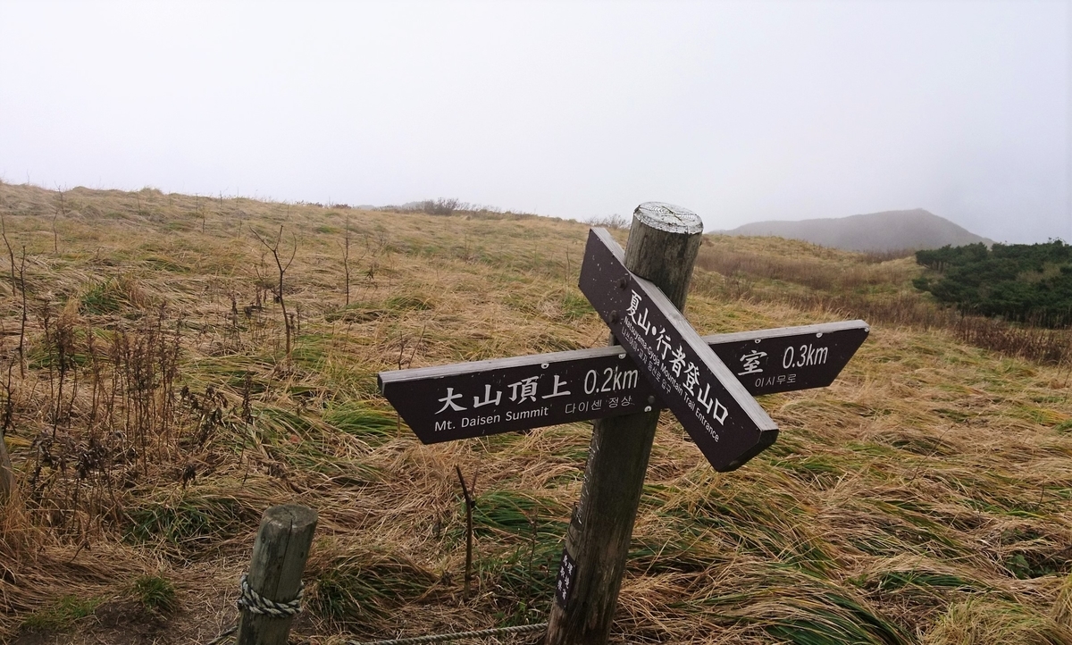 f:id:inoppi0625:20200510220718j:plain