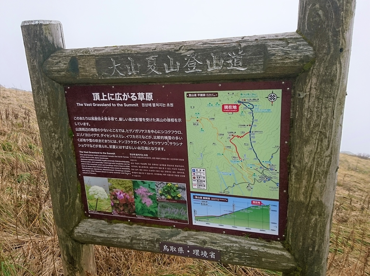 f:id:inoppi0625:20200510220724j:plain