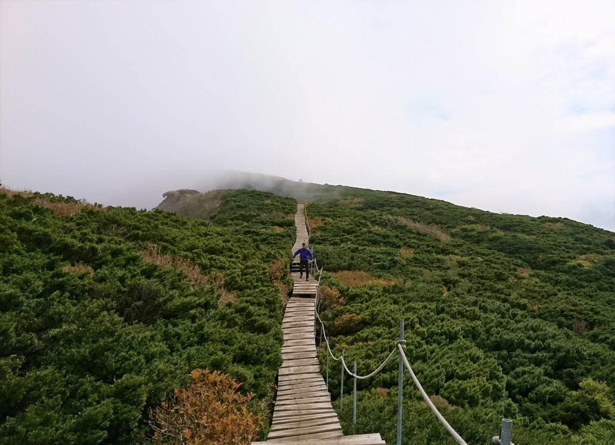 f:id:inoppi0625:20200510221418j:plain