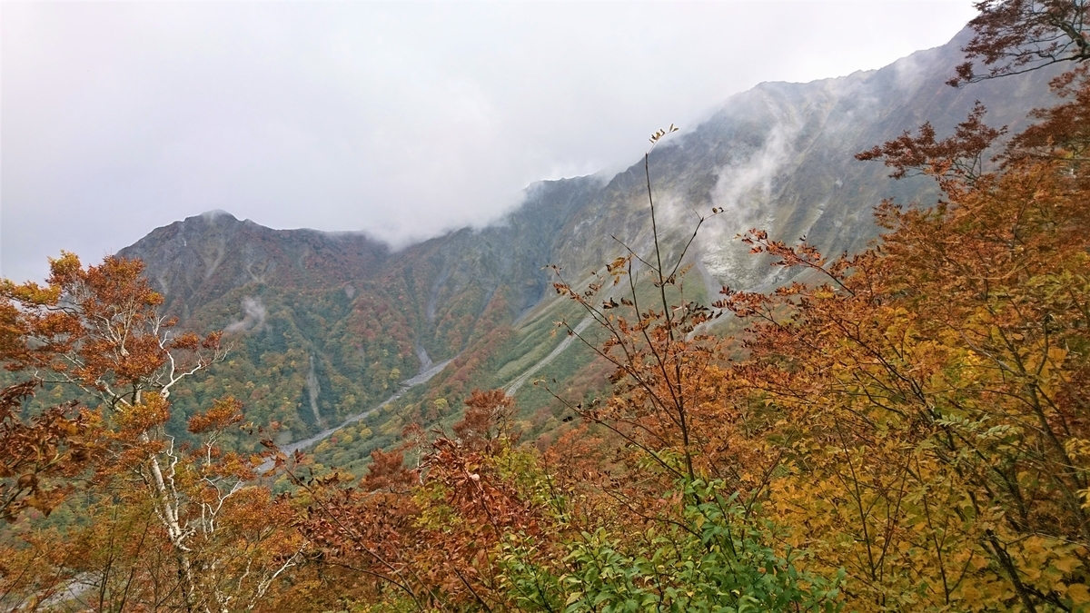 f:id:inoppi0625:20200510221433j:plain