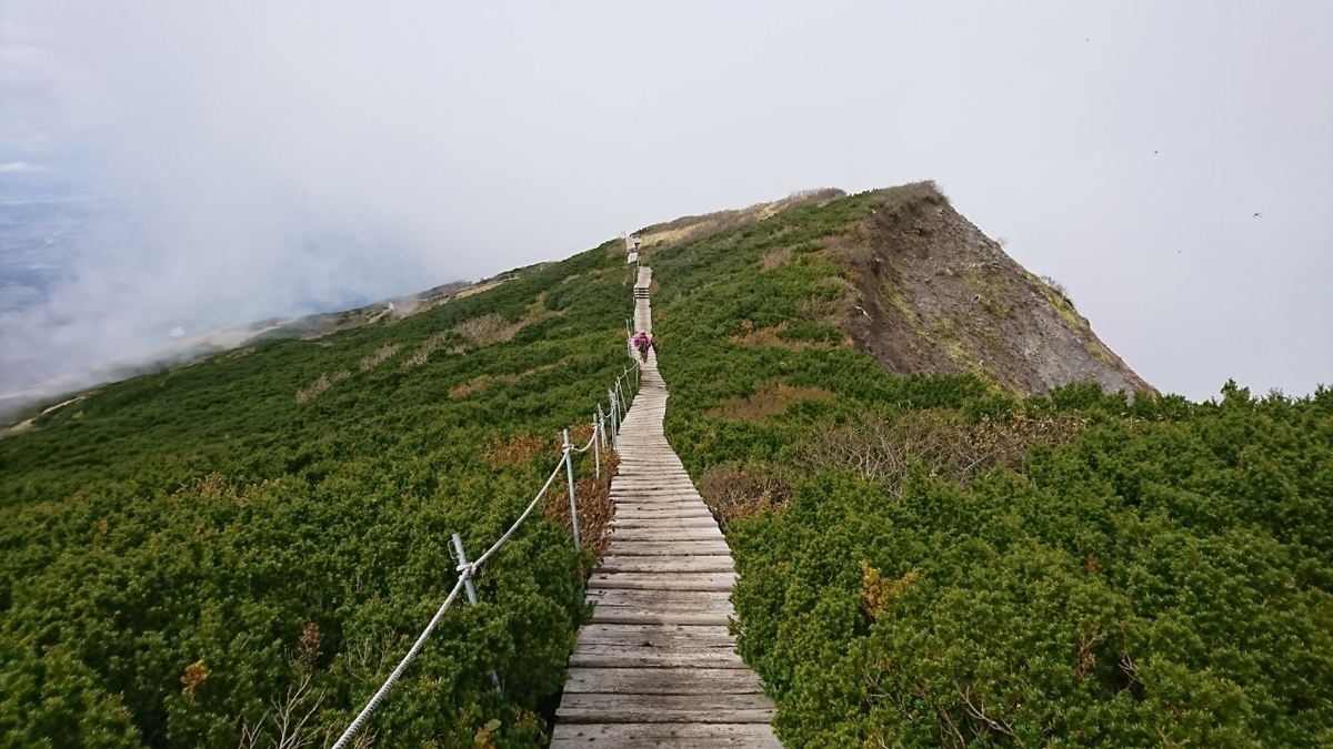 f:id:inoppi0625:20200511221705j:plain