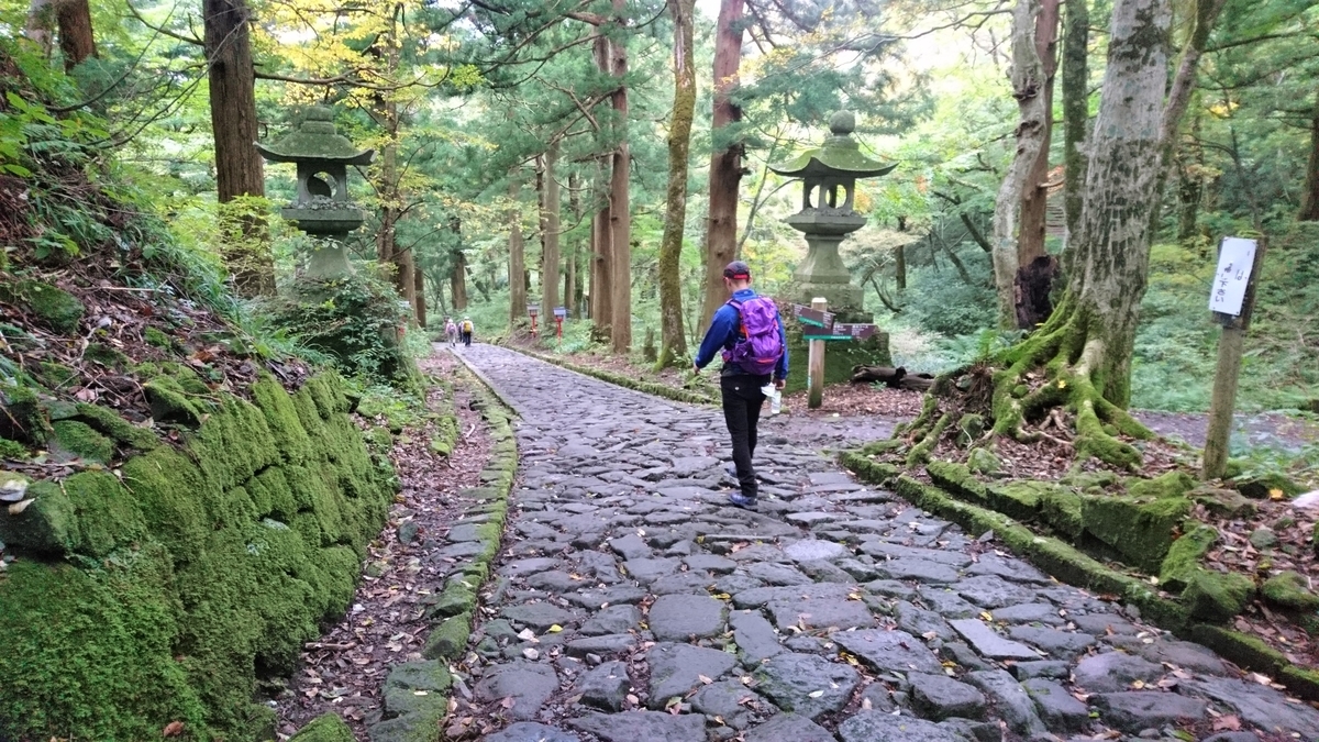 f:id:inoppi0625:20200511221720j:plain