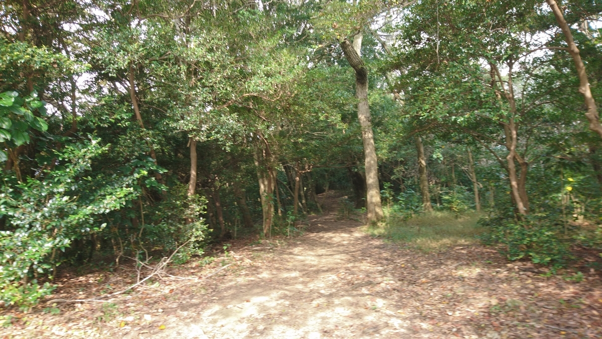 f:id:inoppi0625:20200515114113j:plain