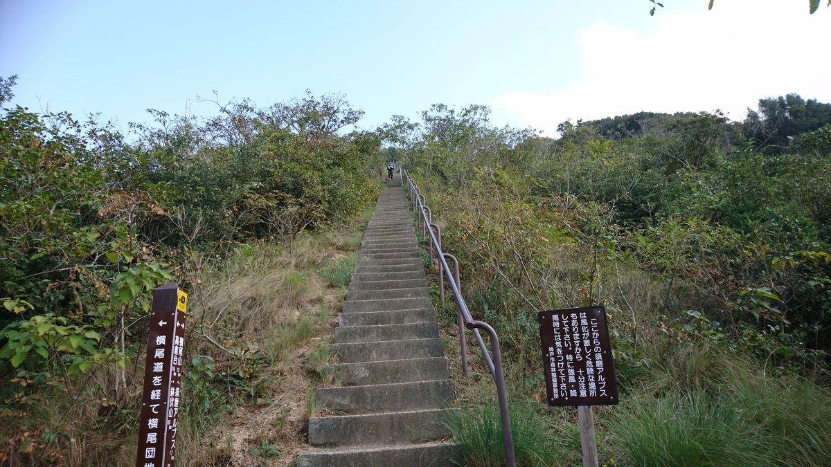 f:id:inoppi0625:20200515114241j:plain