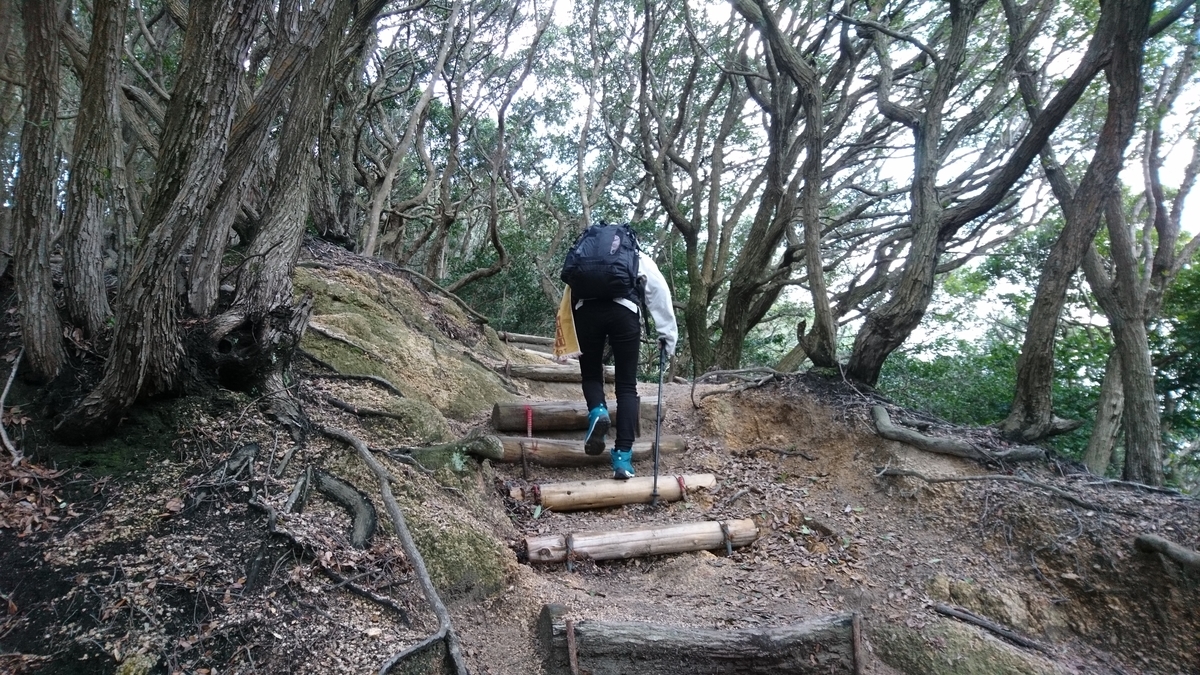 f:id:inoppi0625:20200515114249j:plain