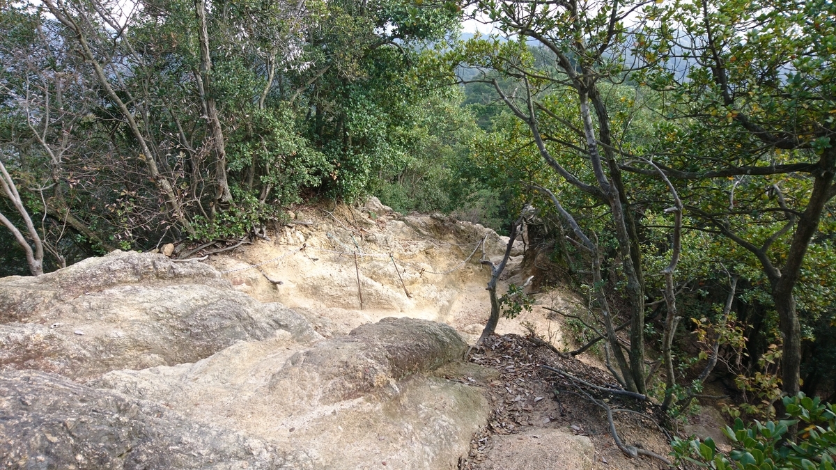 f:id:inoppi0625:20200515114254j:plain