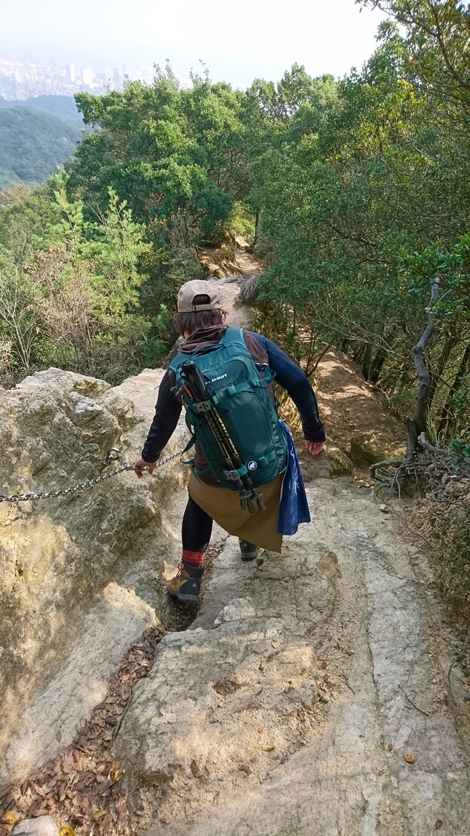 f:id:inoppi0625:20200515114306j:plain