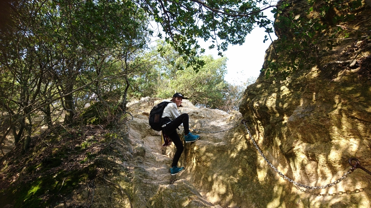 f:id:inoppi0625:20200515114319j:plain