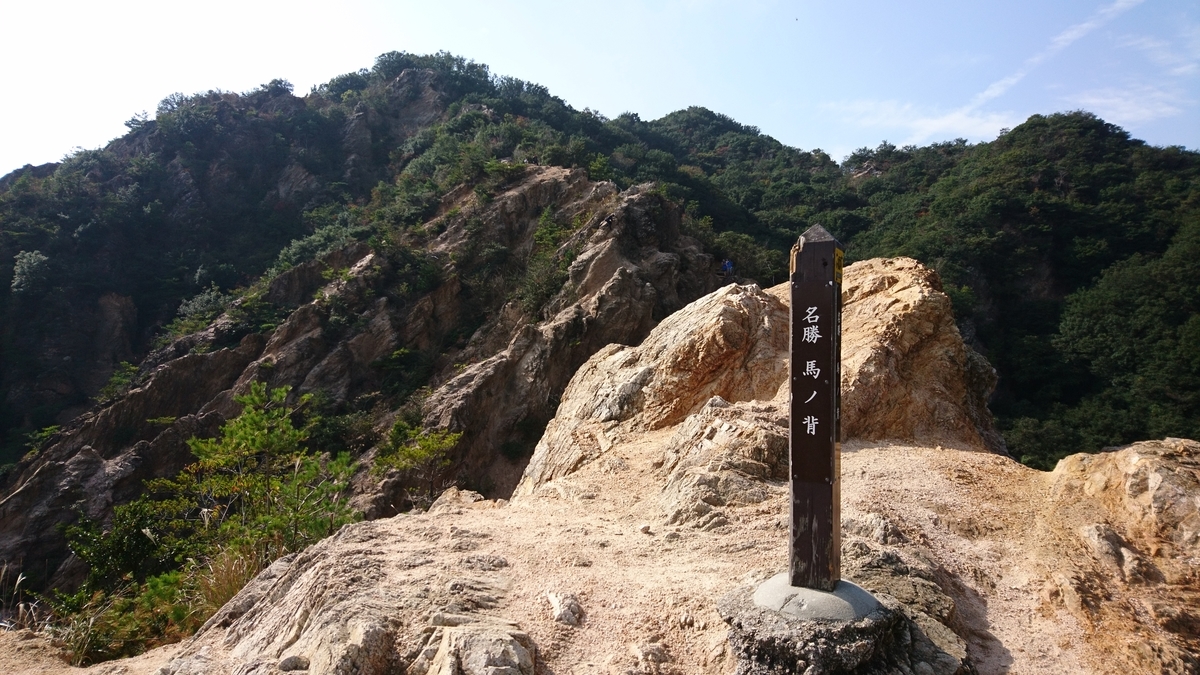 f:id:inoppi0625:20200515162332j:plain