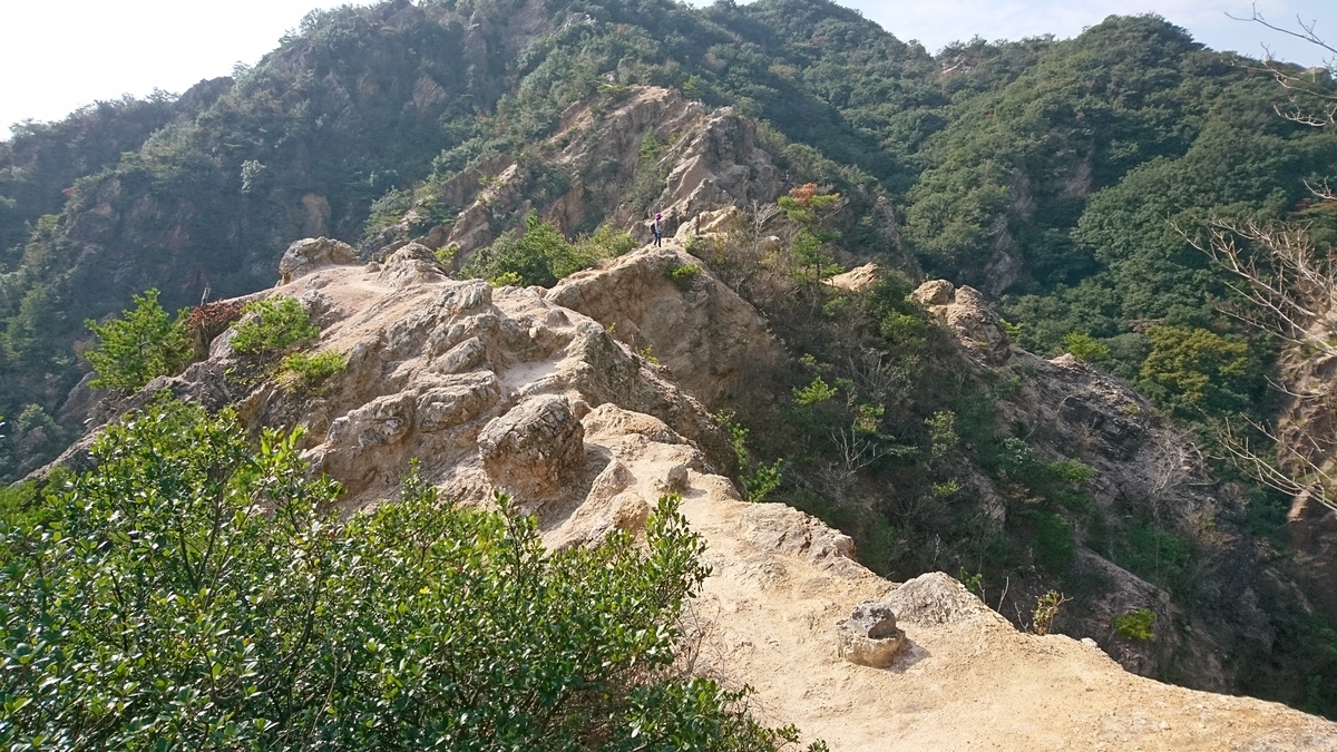 f:id:inoppi0625:20200515162419j:plain