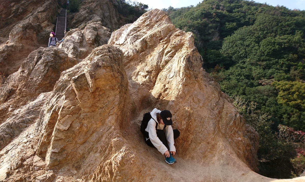 f:id:inoppi0625:20200515162728j:plain