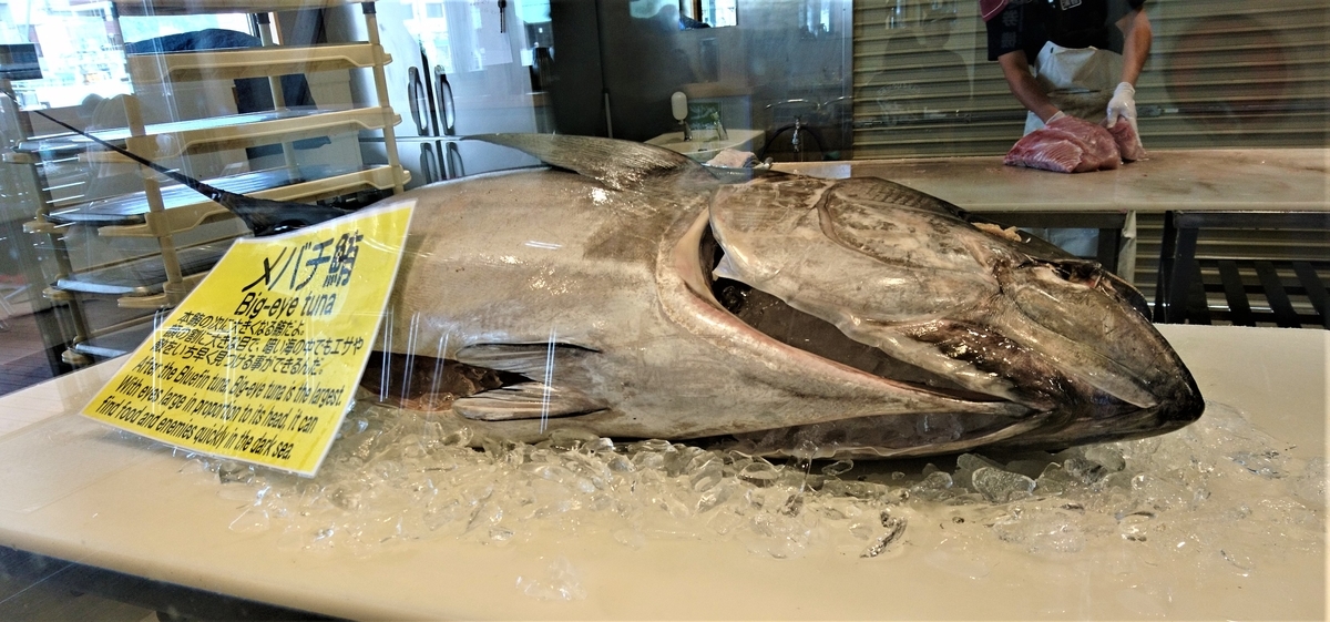 f:id:inoppi0625:20200515165034j:plain