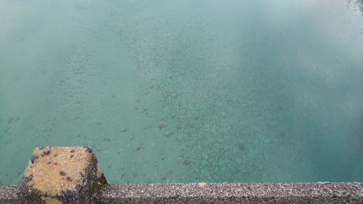 f:id:inoppi0625:20200515165059j:plain