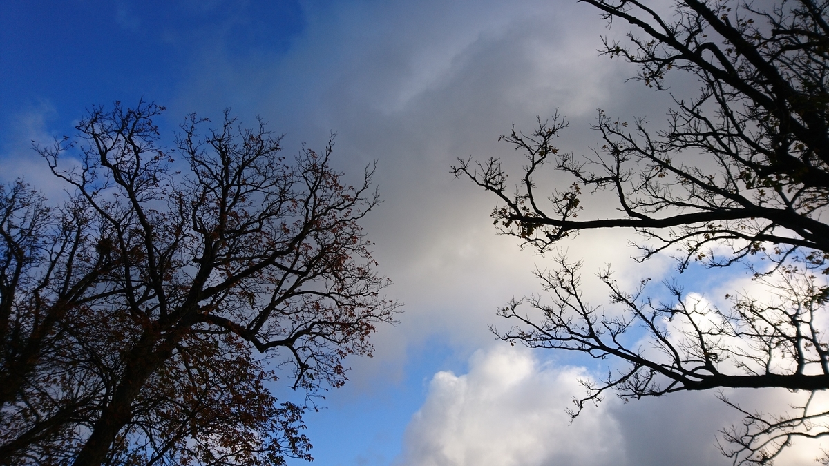 f:id:inoppi0625:20200515213419j:plain