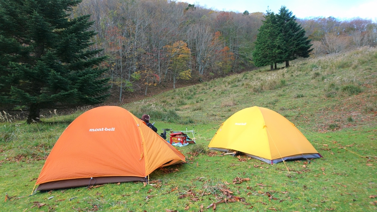 f:id:inoppi0625:20200515213430j:plain