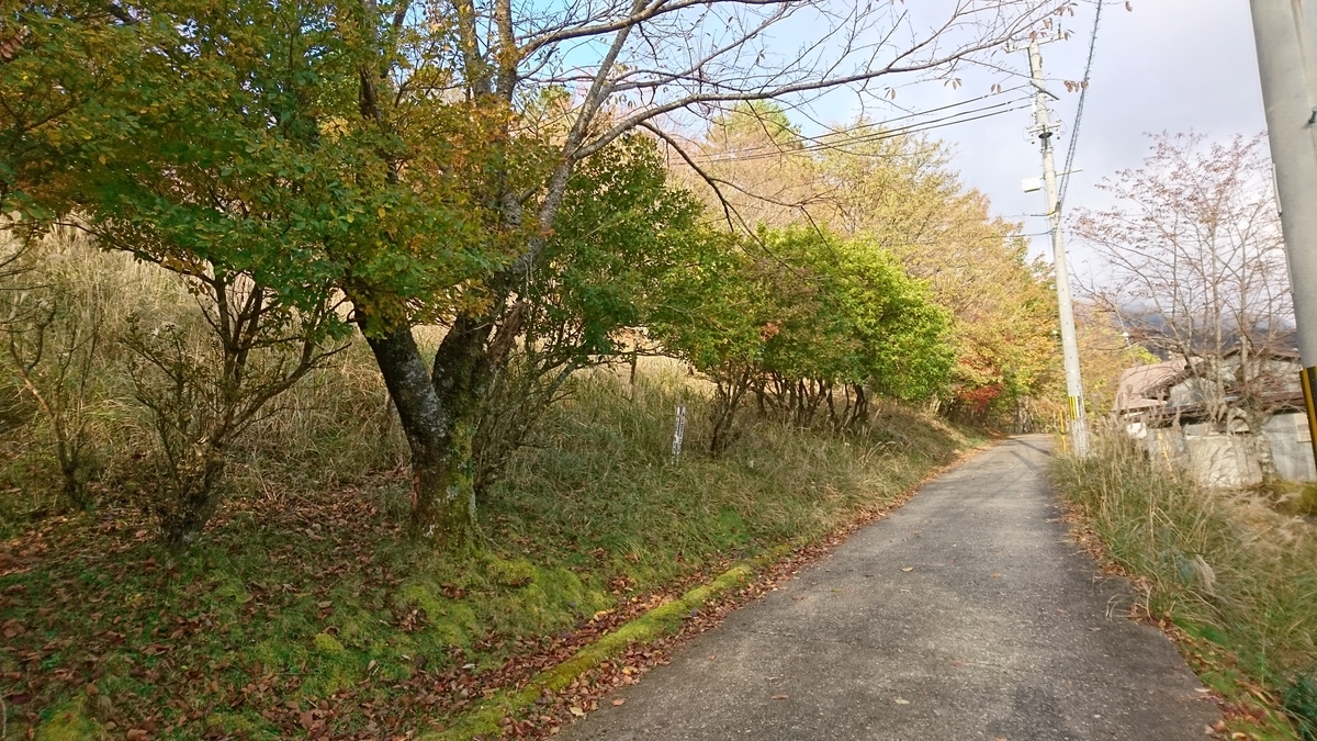 f:id:inoppi0625:20200517180957j:plain