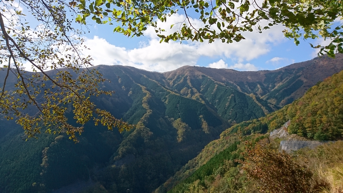 f:id:inoppi0625:20200517210632j:plain