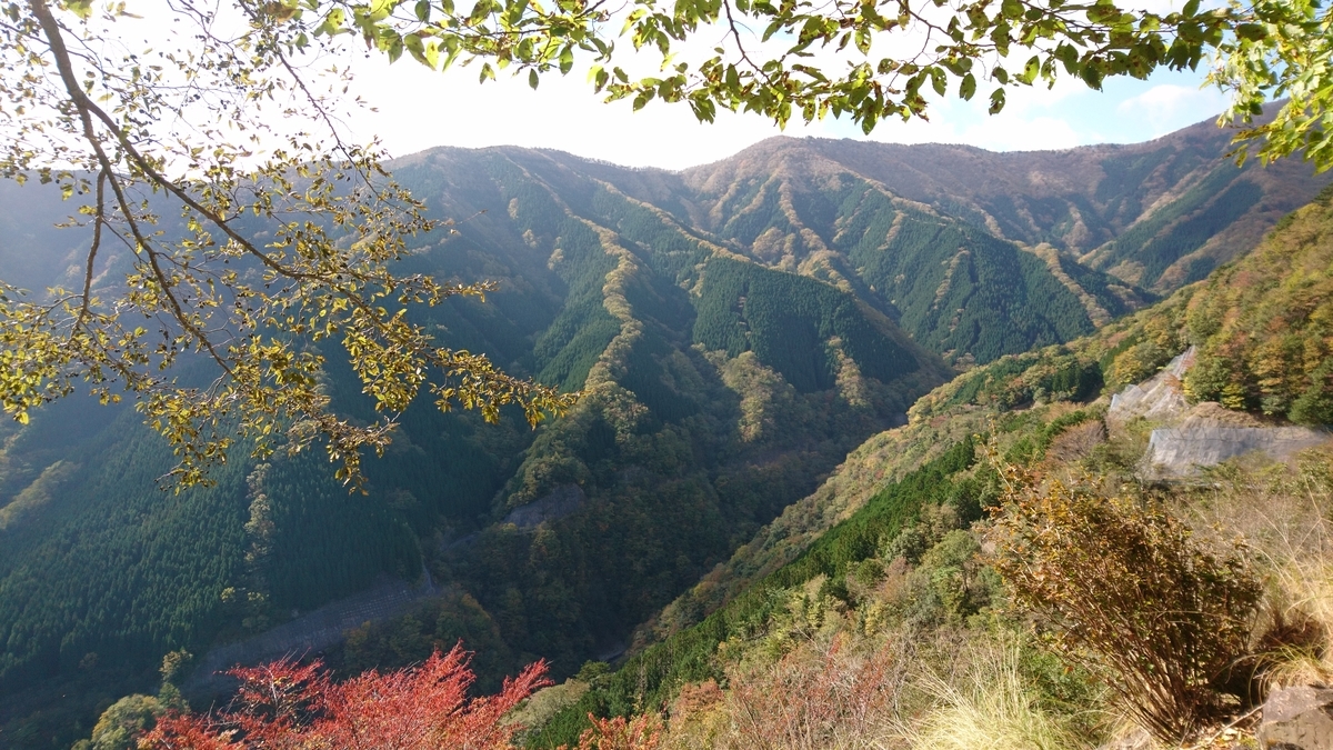 f:id:inoppi0625:20200517210640j:plain