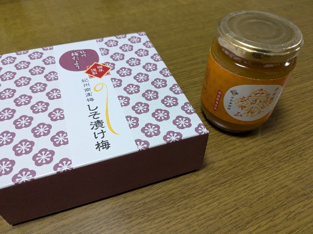 青春18きっぷ 返却不要 公式通販 3回分 即発送 青春18きっぷ 残り 3