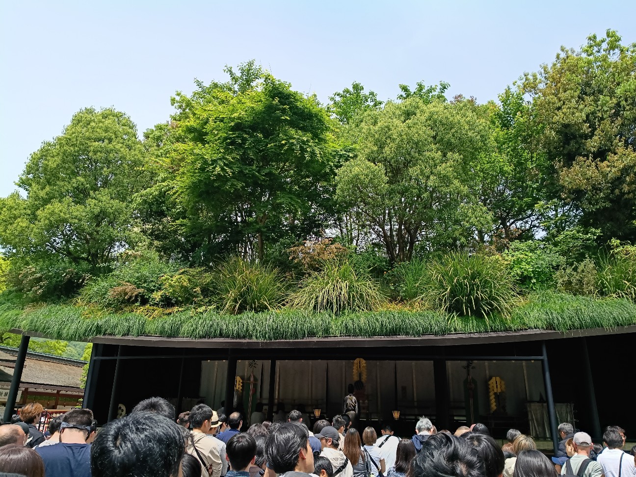 f:id:inori723:20260605204853j:image