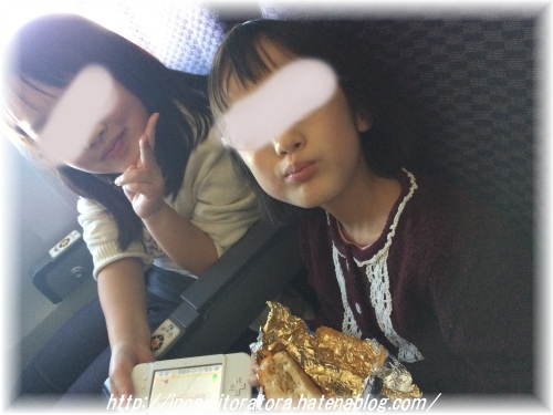 f:id:inosisitoratora:20170109130603j:plain f:id:inosisitoratora:20170109130603j:plain