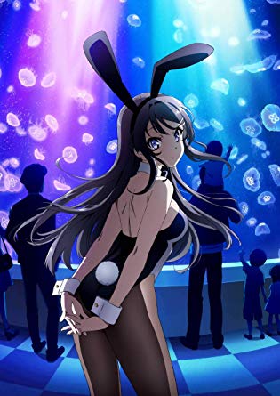 2018年秋アニメ感想 青春ブタ野郎はバニーガール先輩の夢を見ない 暇人の感想日記 2018年秋アニメ感想 青春ブタ野郎はバニーガール先輩の夢を見ない 暇人の感想日記