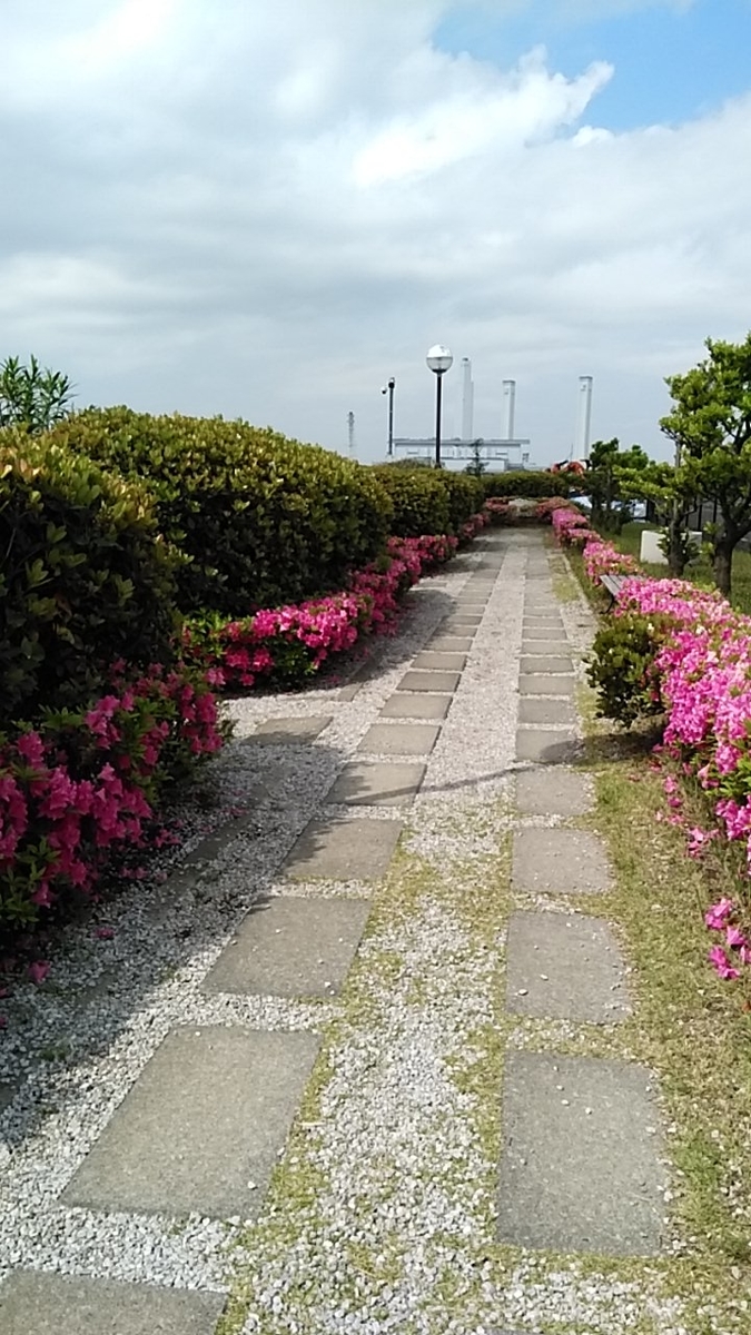f:id:inoton0814:20190602202454j:plain