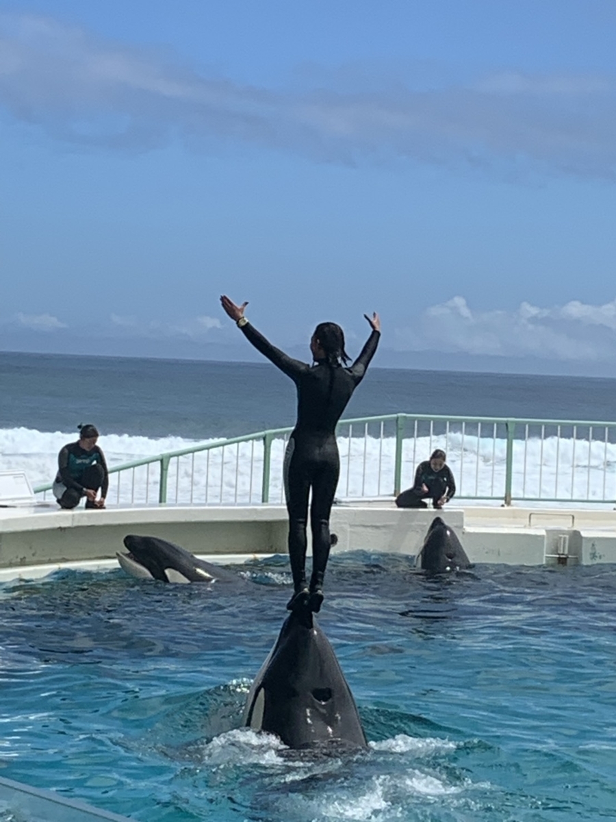 f:id:inoue-0218-yuko:20190806161407j:plain f:id:inoue-0218-yuko:20190806161407j:plain
