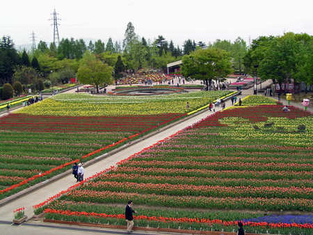 f:id:inoue1024:20020115211327j:image