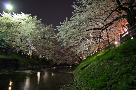 f:id:inoue1024:20060417224525j:image