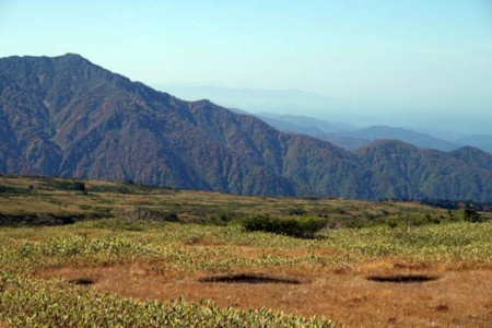 f:id:inoue1024:20081016110132j:image f:id:inoue1024:20081016110132j:image