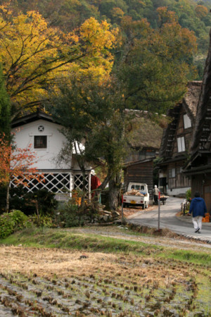 f:id:inoue1024:20081031223303j:image f:id:inoue1024:20081031223303j:image