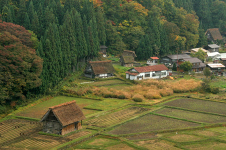 f:id:inoue1024:20081031223445j:image f:id:inoue1024:20081031223445j:image
