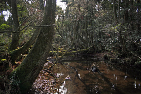 f:id:inoue1024:20090129122635j:image f:id:inoue1024:20090129122635j:image