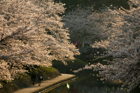 f:id:inoue1024:20090408225418j:image f:id:inoue1024:20090408225418j:image